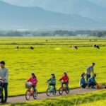 中標津　子育て