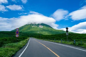 【1泊2日】中標津空港発着！知床・羅臼の自然満喫ドライブコース