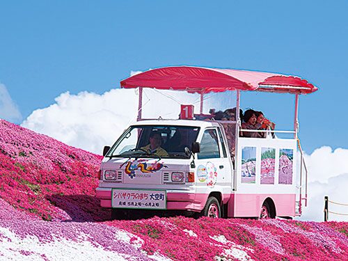 遊覧車